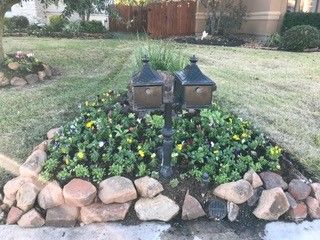 Plants surrounding the mail post — Midland, TX — Franklin Foliage Landscaping