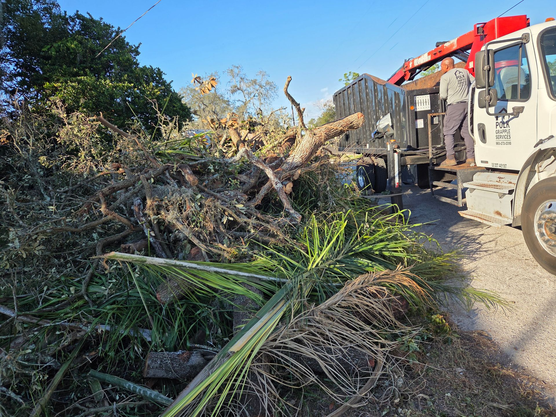Storm debris cleanup | Hurricane cleanup