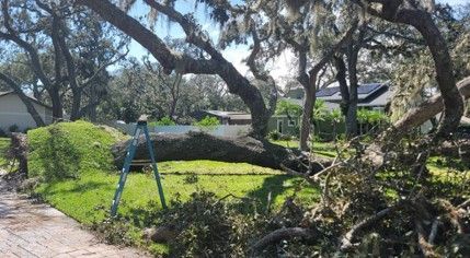 Grapple truck clearing hurricane debris from residential yard in Polk County after Hurricane