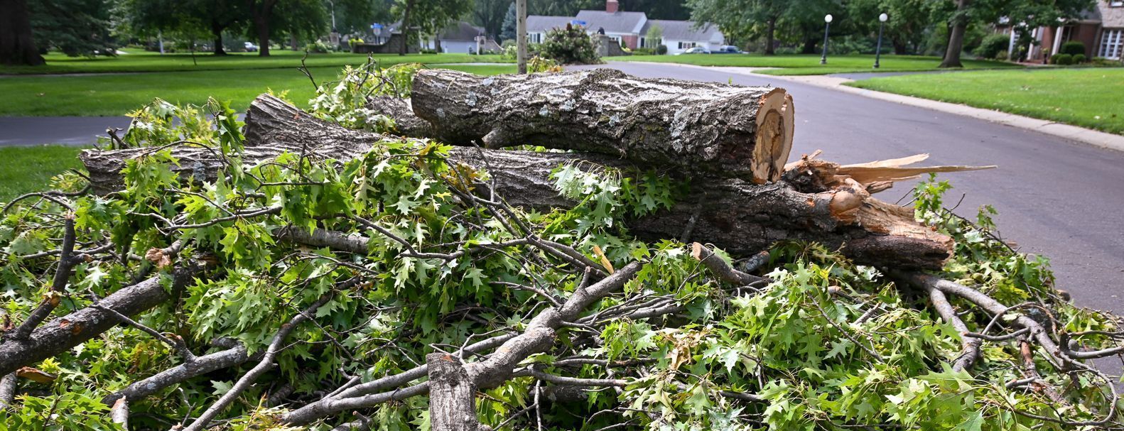 storm debris cleanup