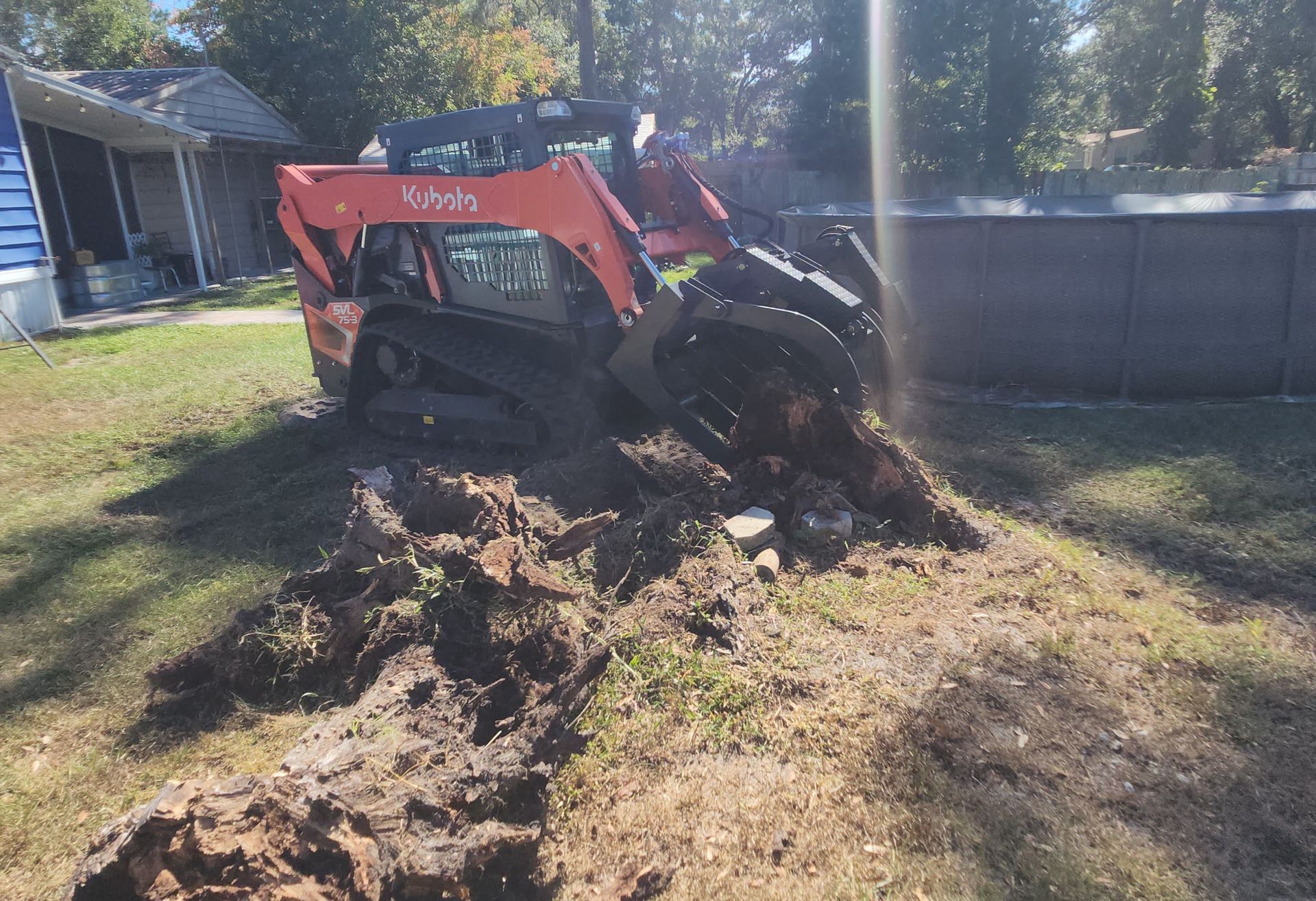 Tree stump removal services Lakeland