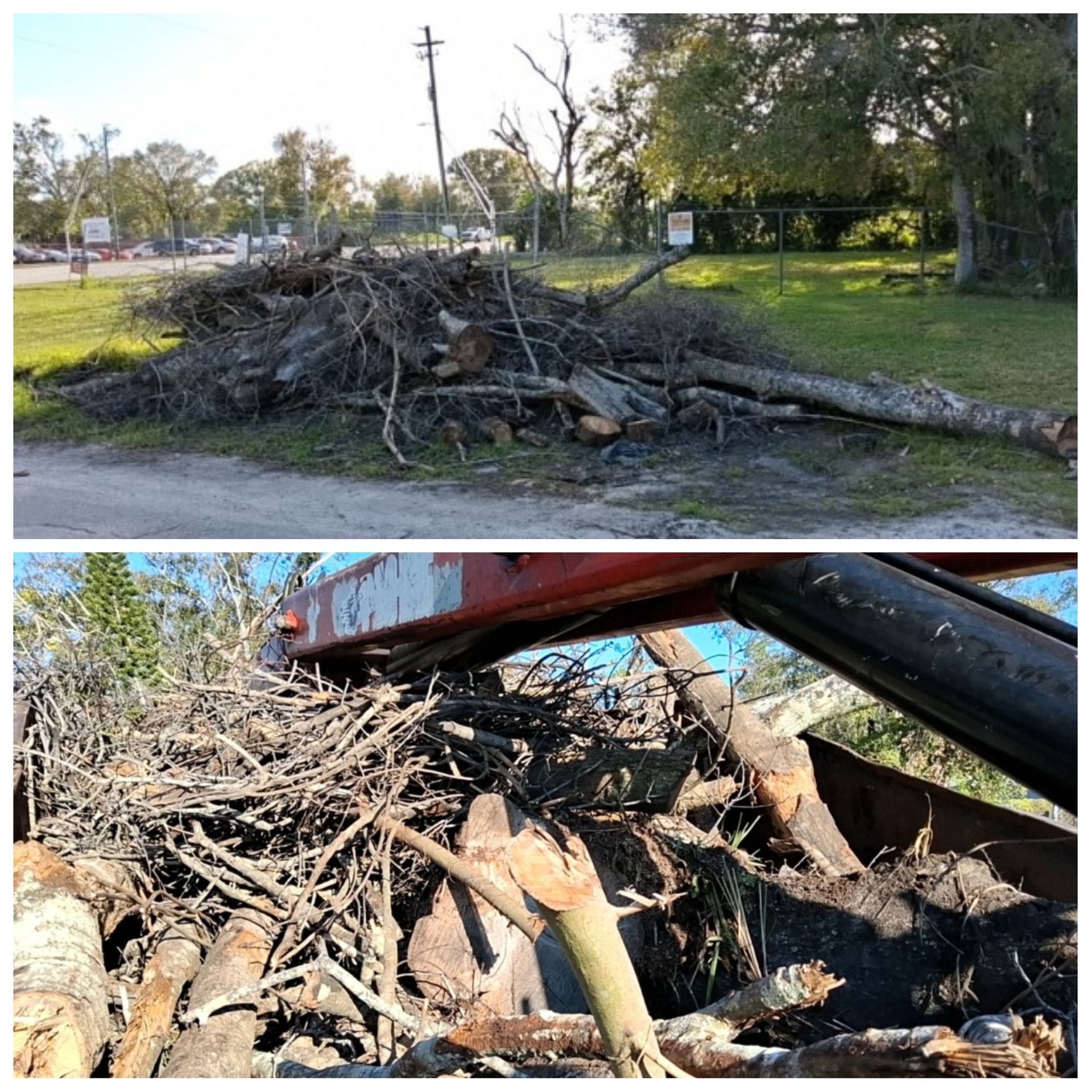Large pile of tree debris being loaded and removed by a grapple truck during a cleanup job in Winter Haven, Florida.