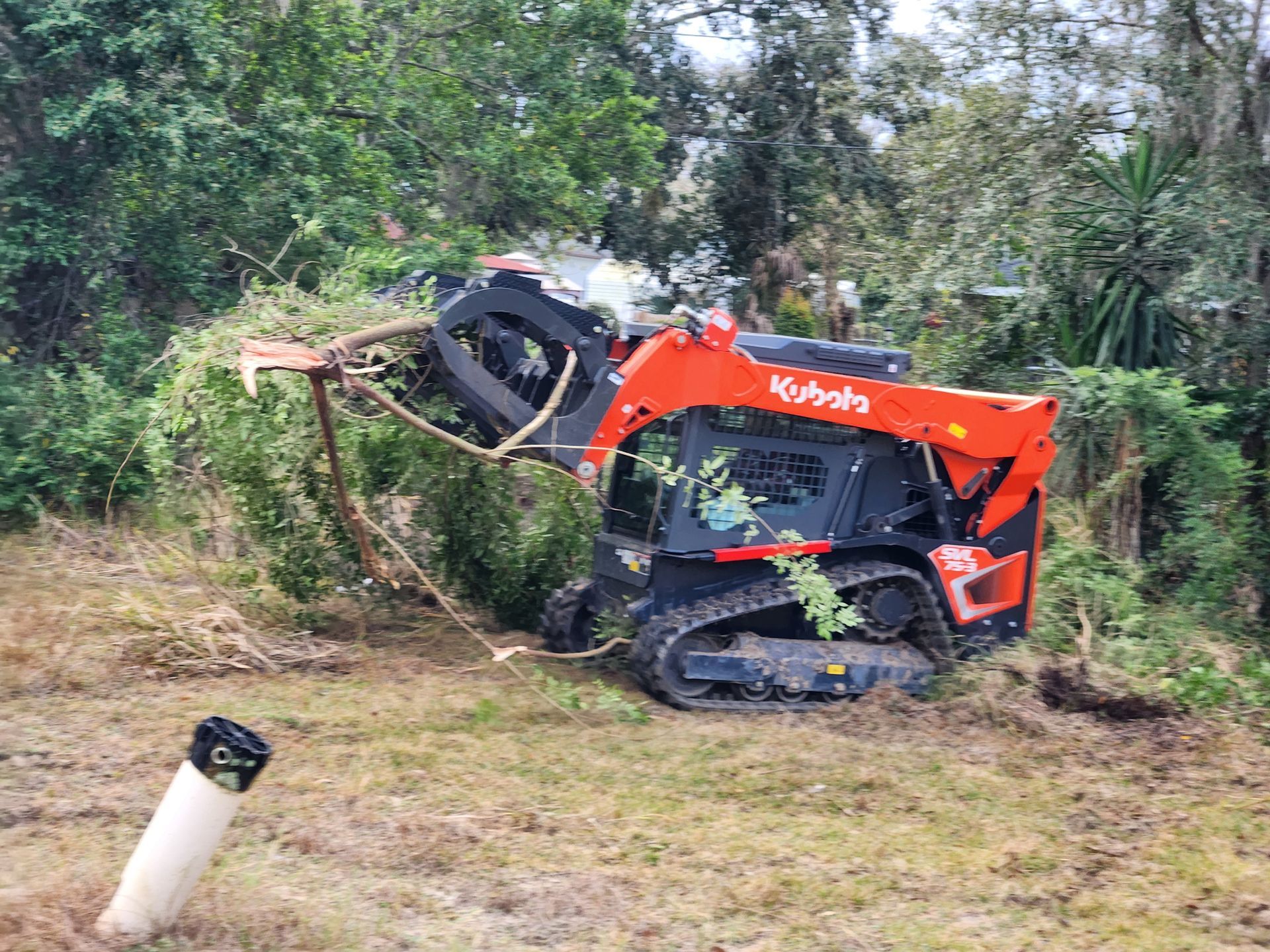 Lot clearing services Lakeland