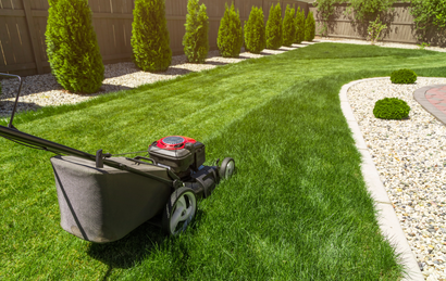 Lawnmower cutting lush green grass in a backyard with a row of trees in the background and a stone walkway.