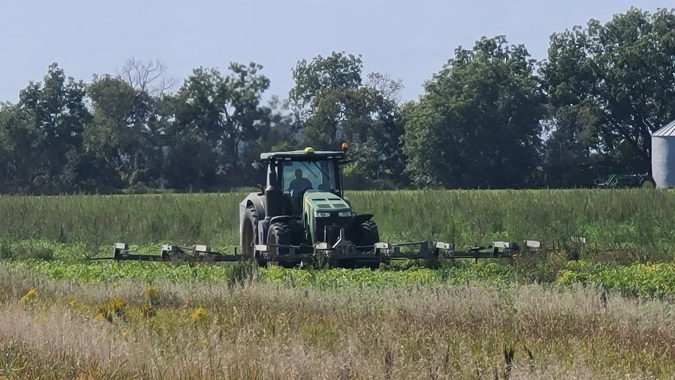 Tractor spraying a field of crops on a sunny day. Green tractor, green and brown vegetation, trees in background.