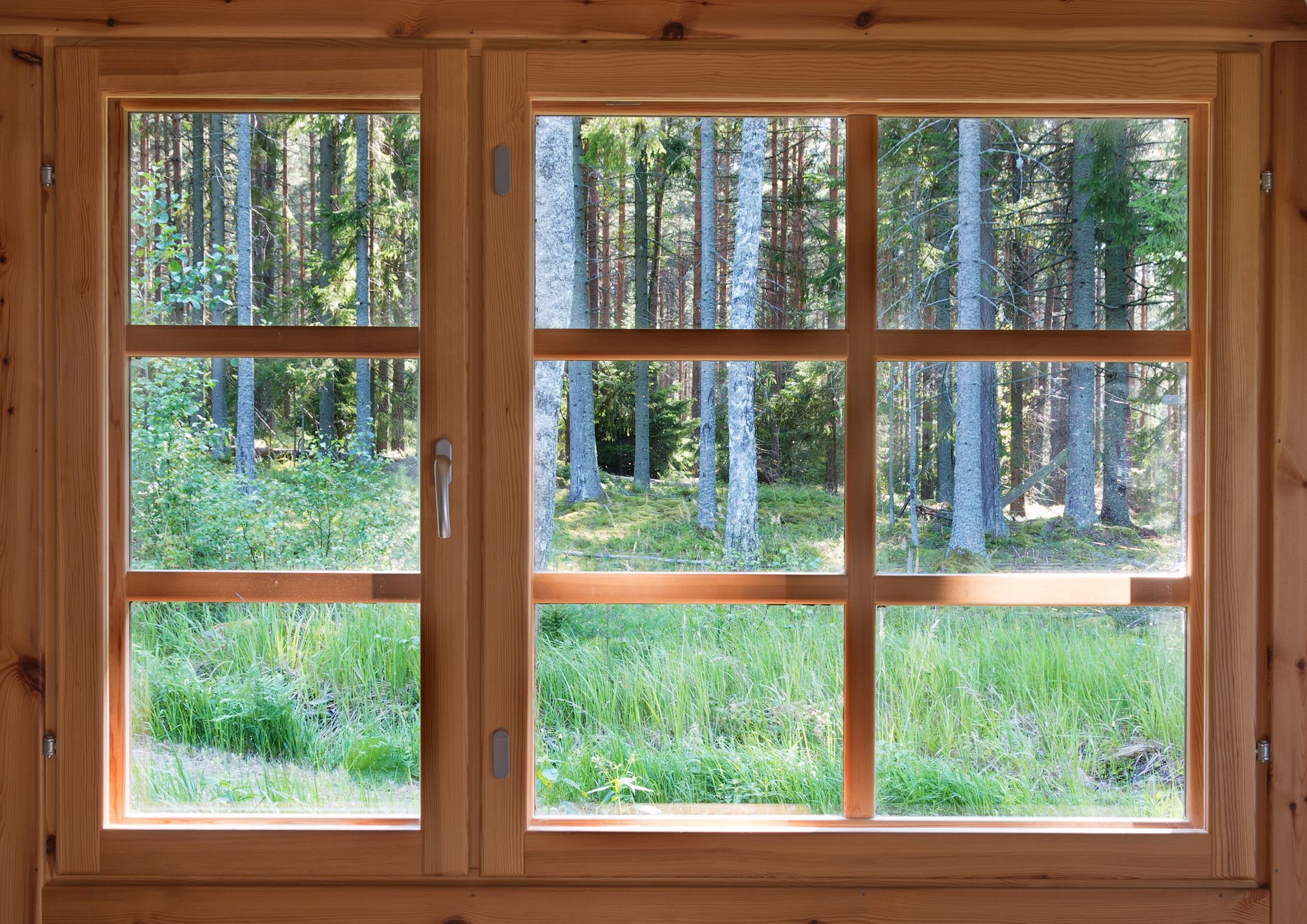 Wooden-framed window with view of a green grassy area and tall trees in a forest.