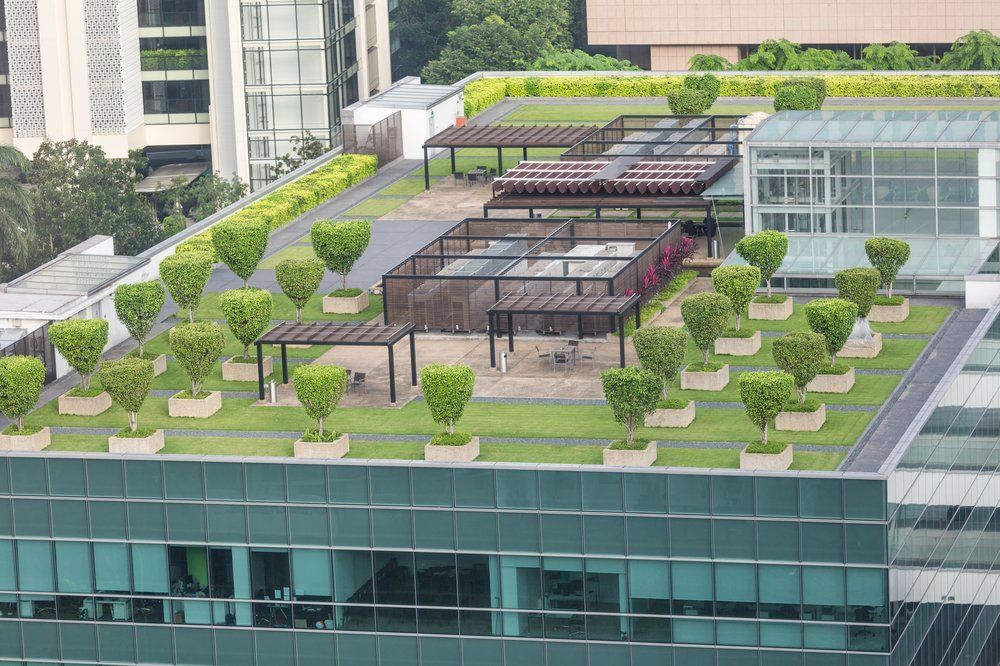 GREEN ROOFING IN SAN DIEGO, CA