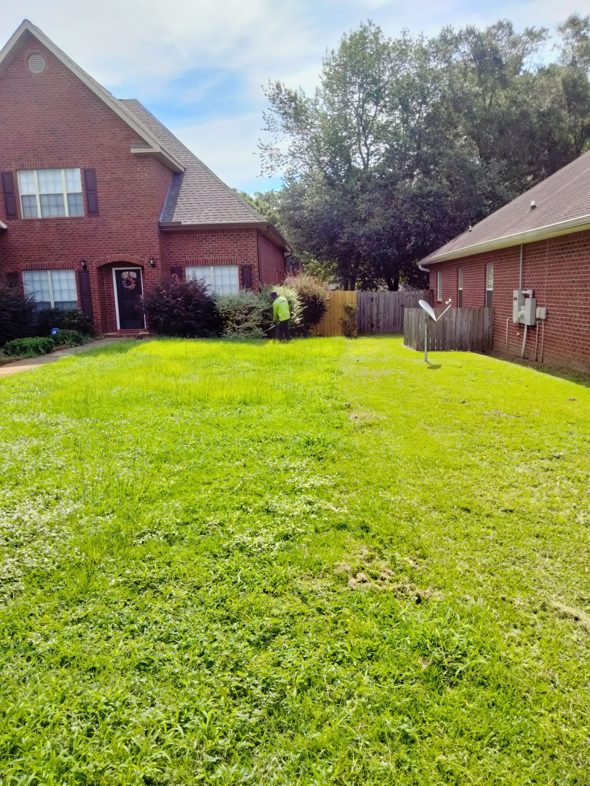 Lawn and brick houses with a green yard, fence, and blue sky.