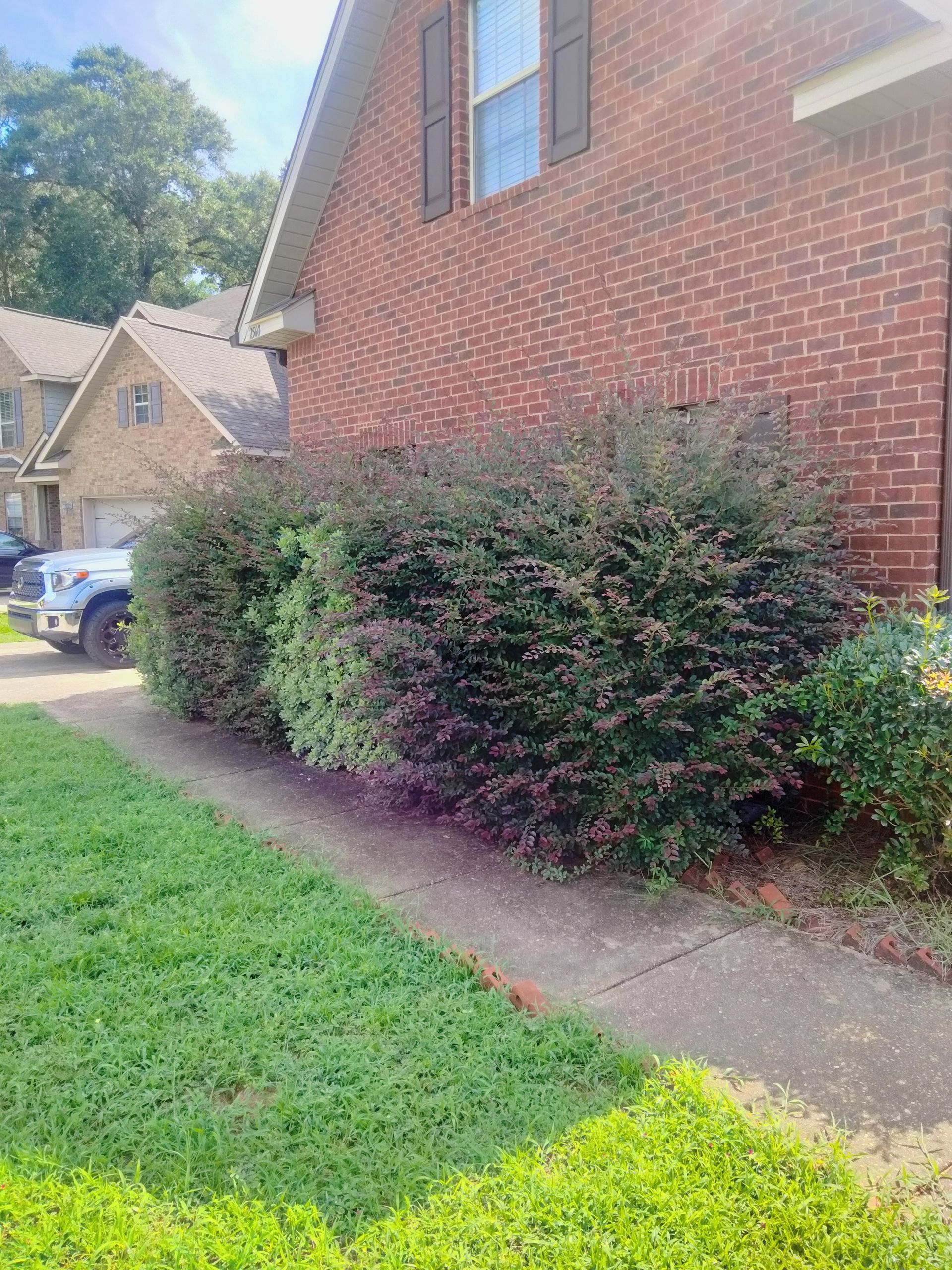 A brick house with a lot of bushes in front of it.