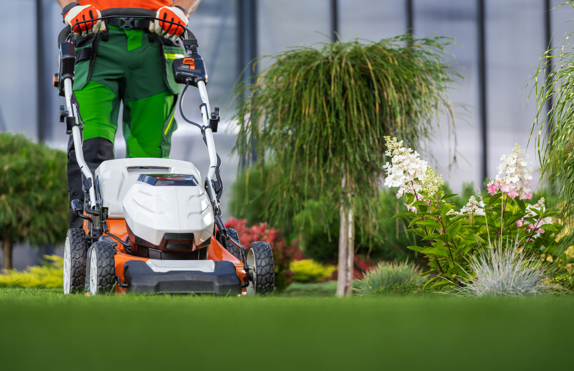 Person mowing a vibrant green lawn with an orange and white lawnmower. Lush greenery and flowers in background.