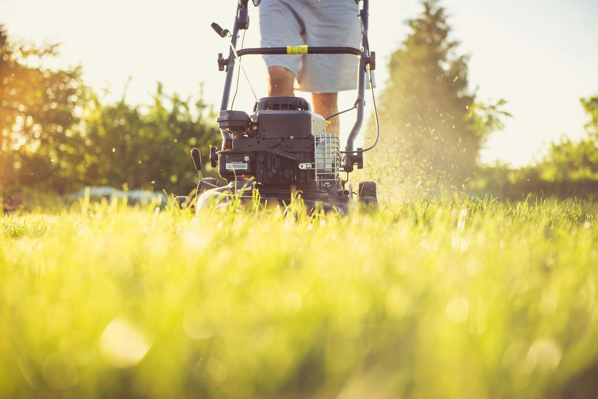 Person pushing a lawn mower through a sunlit grassy yard with trees in the background