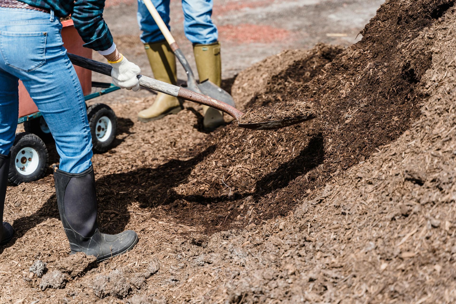 Two people shoveling compost; one uses a cart. Outdoors, brown compost.