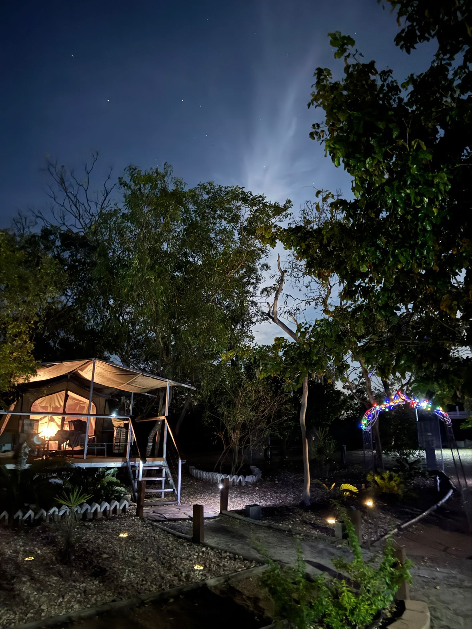 A tent is lit up in the middle of a forest at night — Nina's Ark Wildlife Sanctuary In Finniss Valley, NT