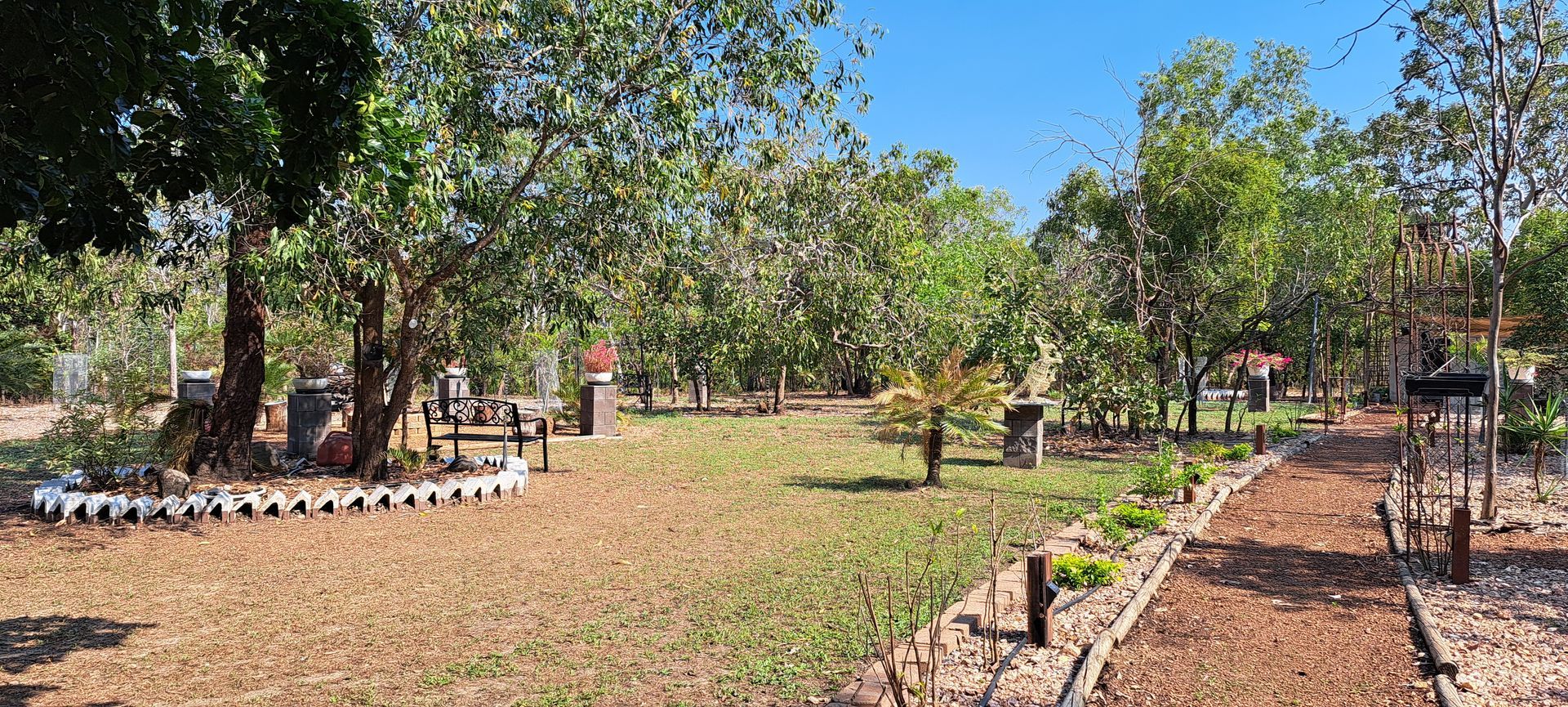 A garden filled with lots of trees and plants on a sunny day.