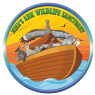 Wildlife Sanctuary in the Northern Territory