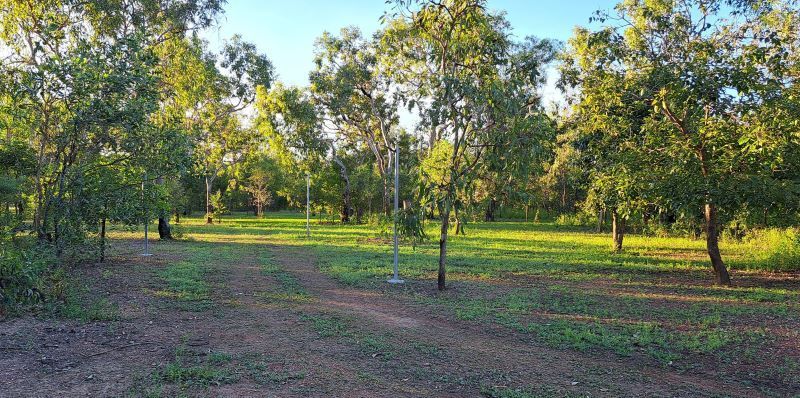 A Dirt Road Going Through a Lush Green Forest — Nina's Ark Wildlife Sanctuary In Finniss Valley, NT