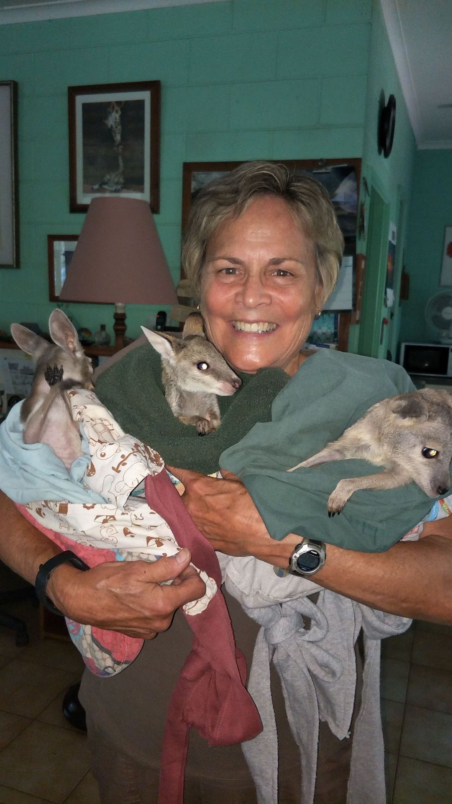A Woman is Holding Two Kangaroos in Her Arms in a Living Room — Nina's Ark Wildlife Sanctuary In Finniss Valley, NT