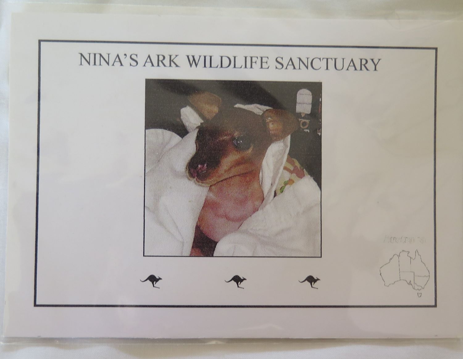 A Postcard From Nina 's Ark Wildlife Sanctuary — Nina's Ark Wildlife Sanctuary In Finniss Valley, NT