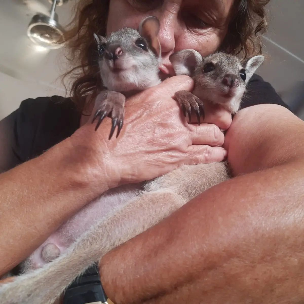 A Woman is Holding Two Small Animals in Her Arms — Nina's Ark Wildlife Sanctuary In Finniss Valley, NT