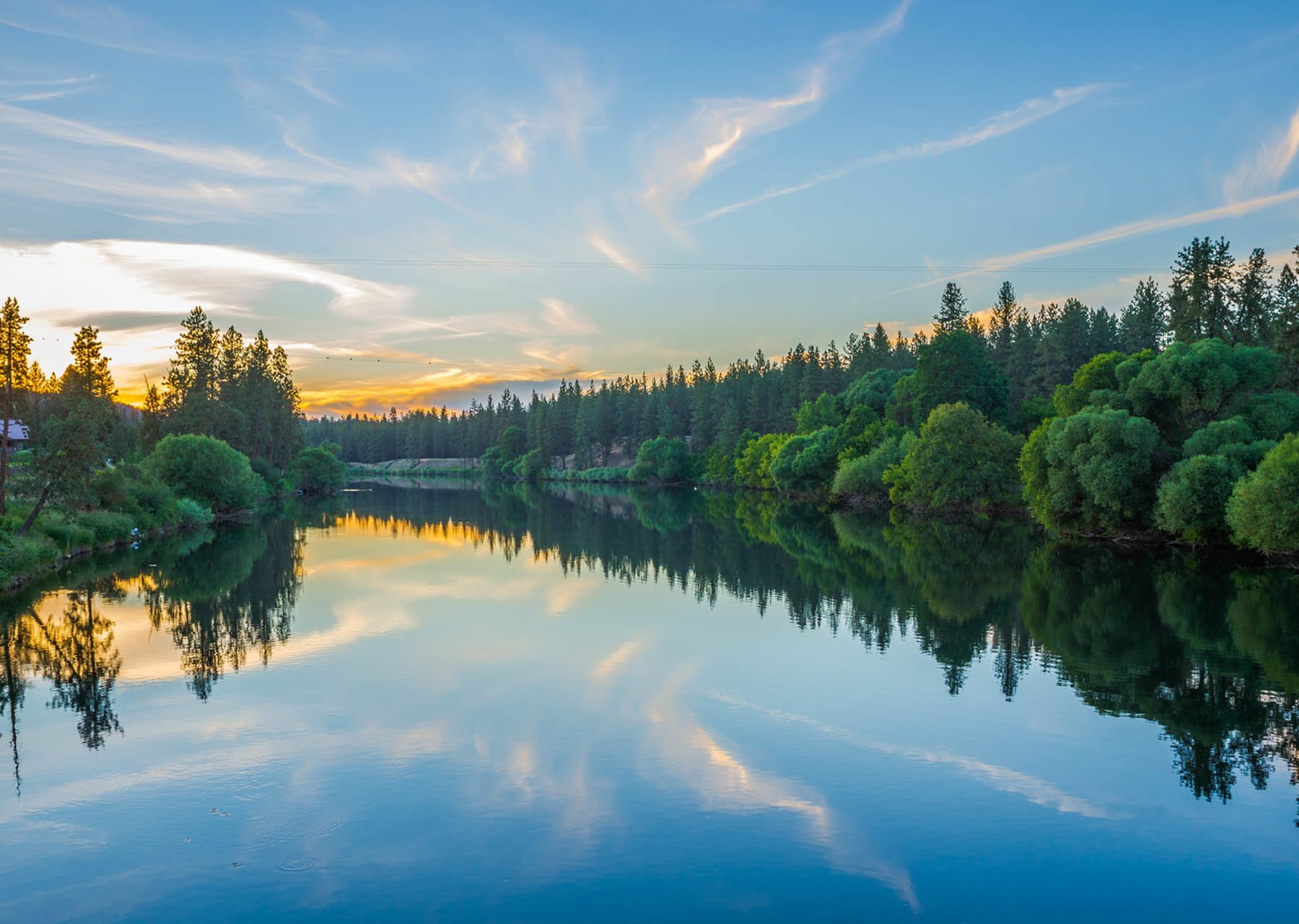 lake surrounded by pine trees