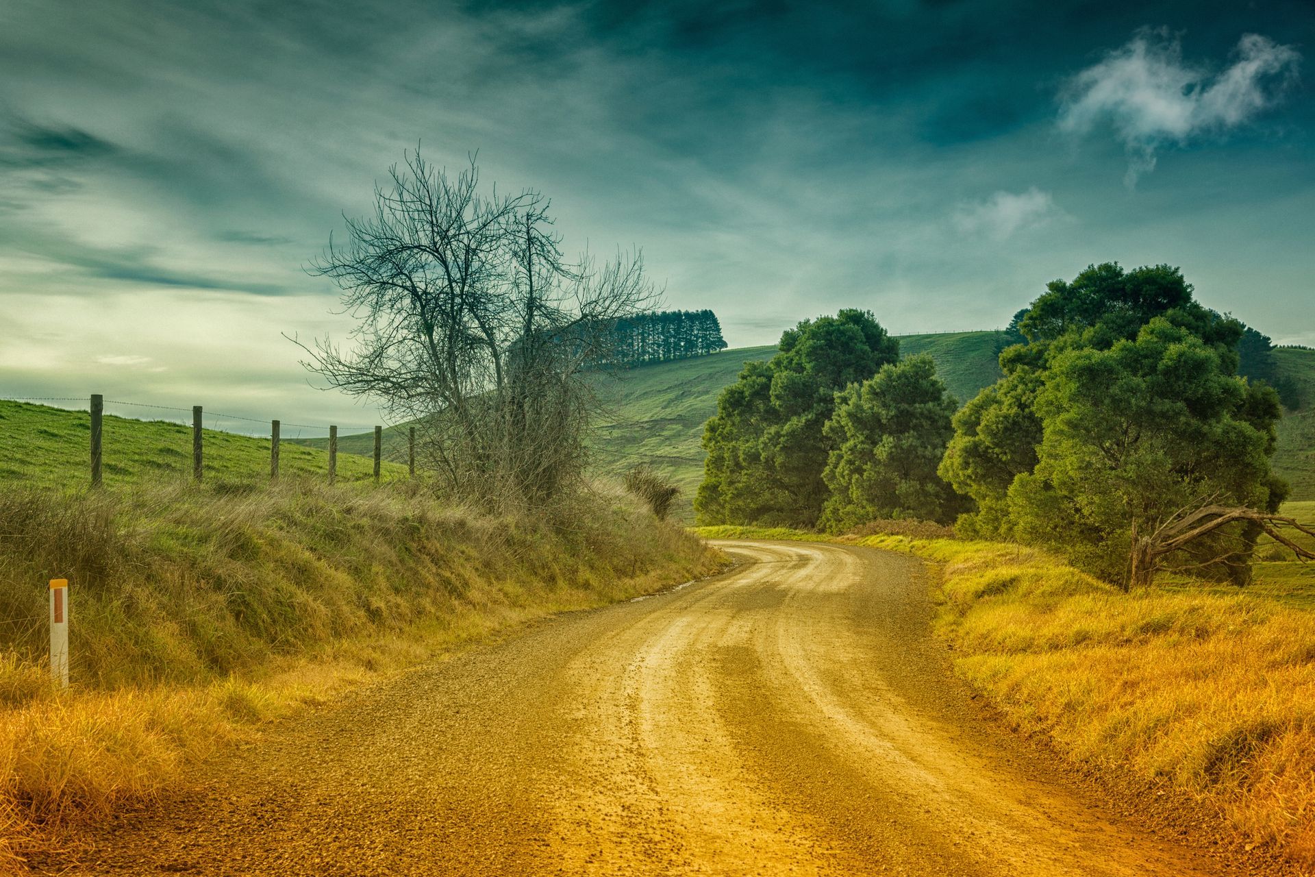 Dirt road winds through a rural landscape, flanked by grassy fields and trees, under a cloudy sky.