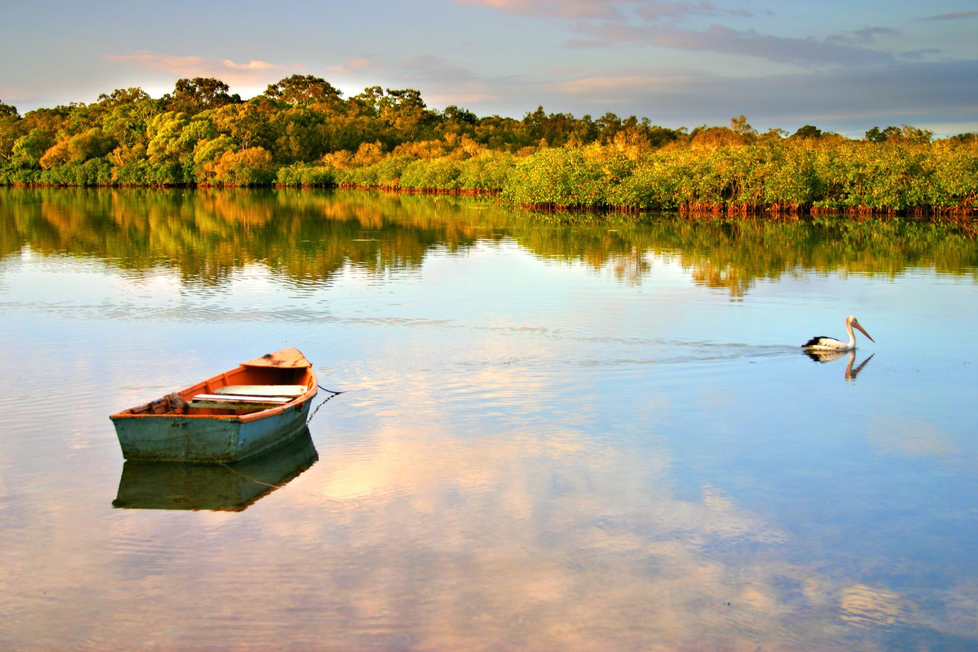 Rowboat floats on calm water; a pelican swims nearby. Trees line the shore with colorful reflections in the water.
