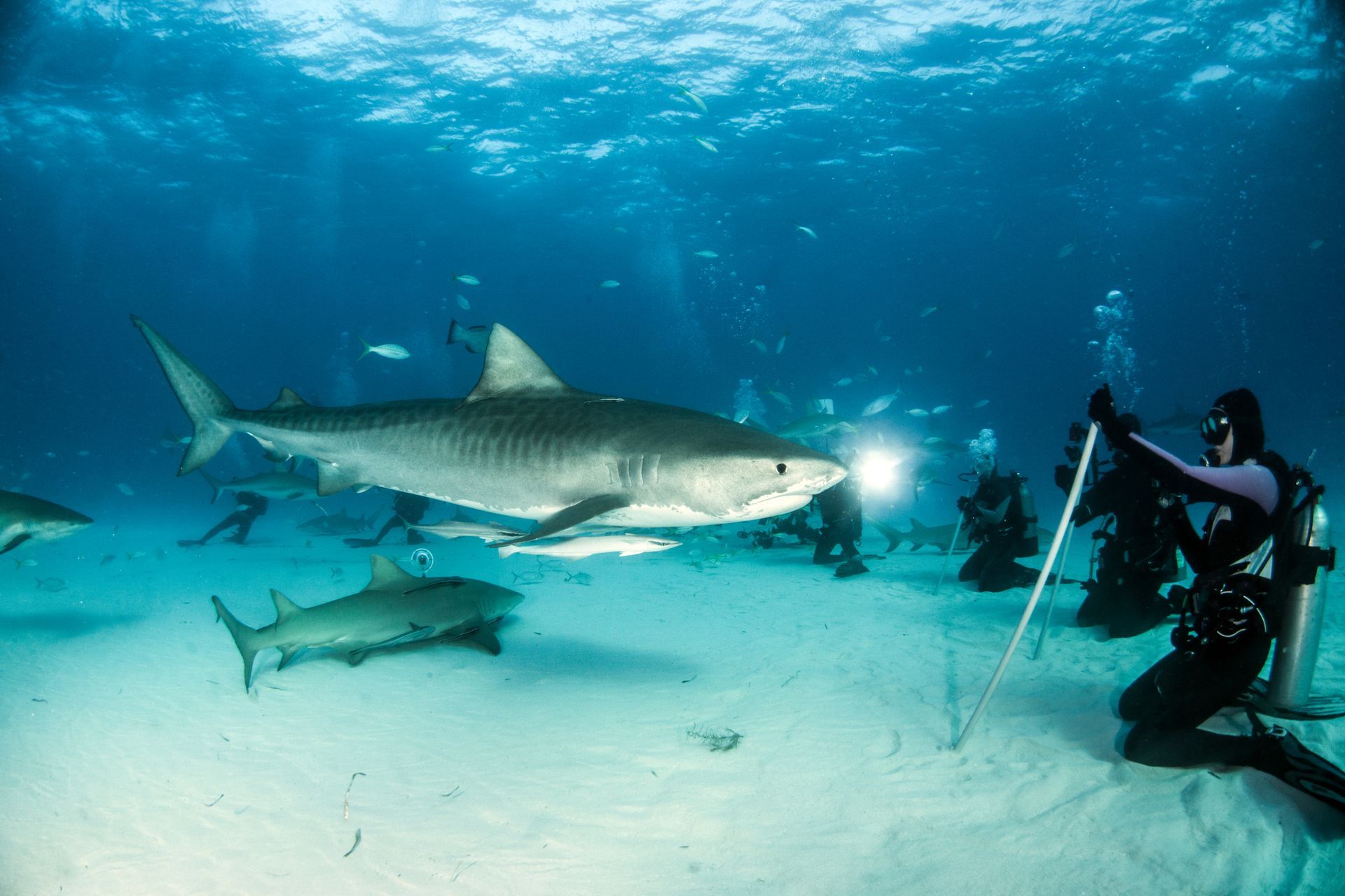 Spacious modern living room with dining area, beige and gray tones, large windows, and a colorful rug.