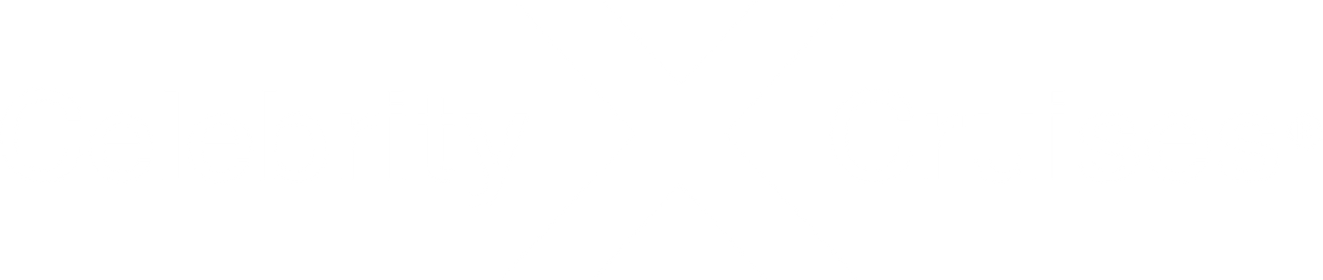 Star Princess logo with silhouette of woman, blue waves, and shining star.