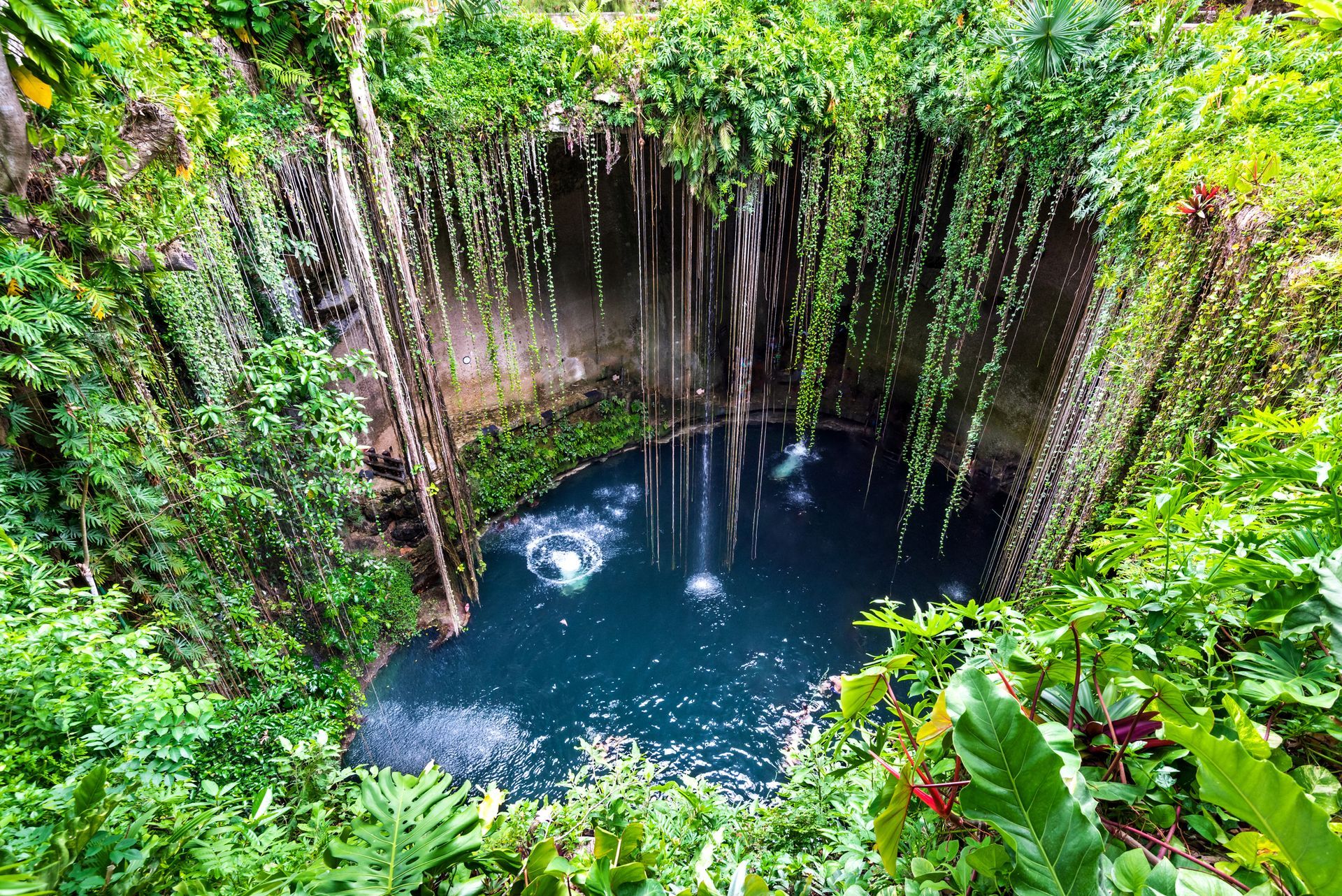 Natural cenote surrounded by lush jungle — hidden swimming cave in Mexico’s Yucatán Peninsula.