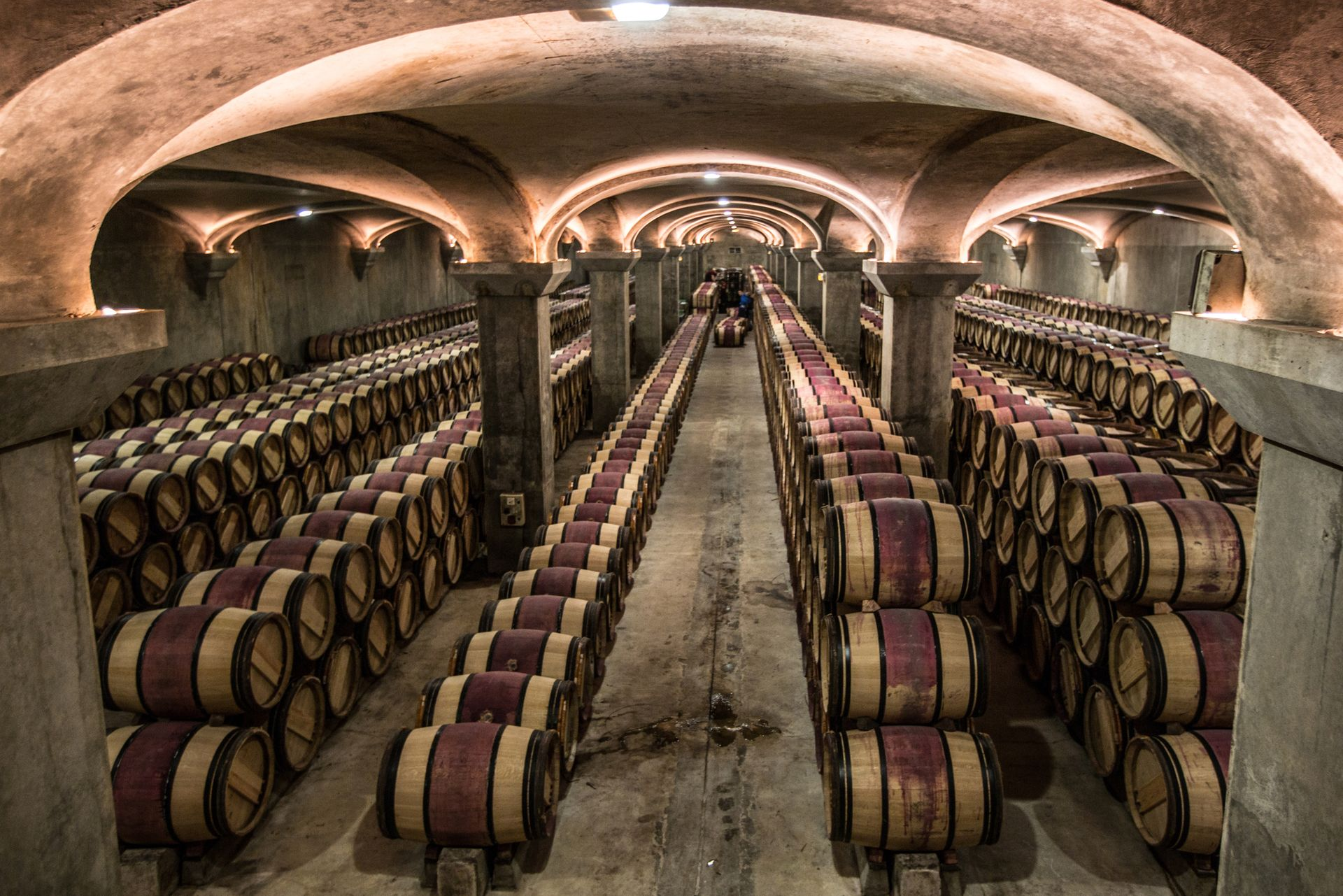Spacious modern living room with dining area, beige and gray tones, large windows, and a colorful rug.