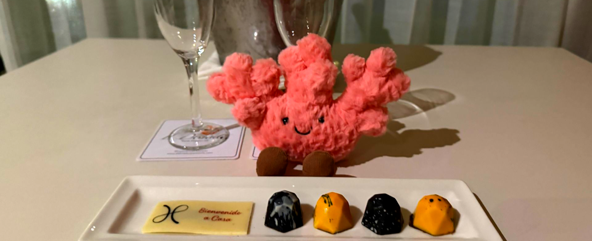 Cora the Coral plush with a welcome plate of chocolates and wine glasses at a luxury resort.