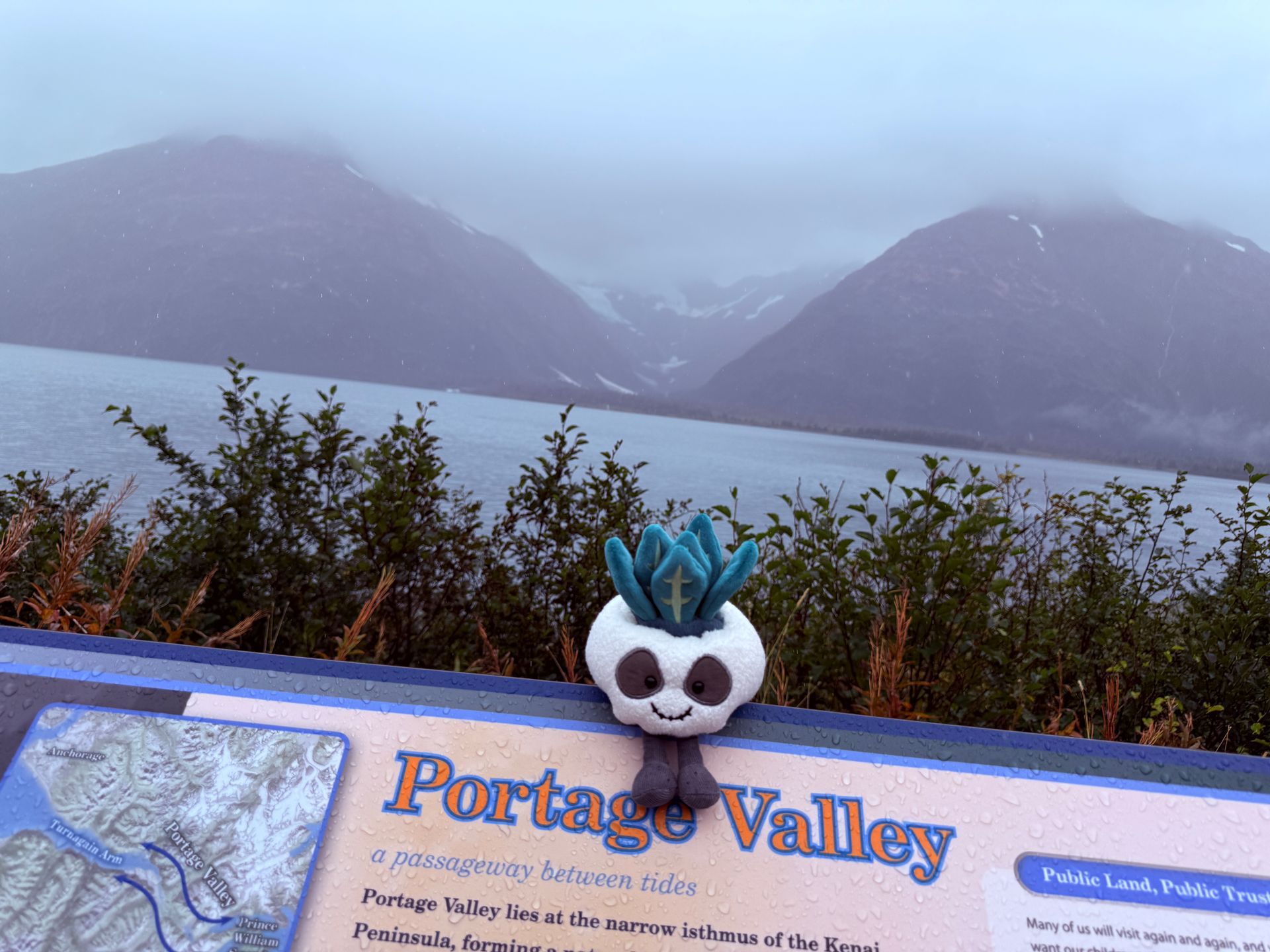 Fog drifts over Portage Glacier and Portage Lake with Calavino the Candy Skull Latitude Buddy 