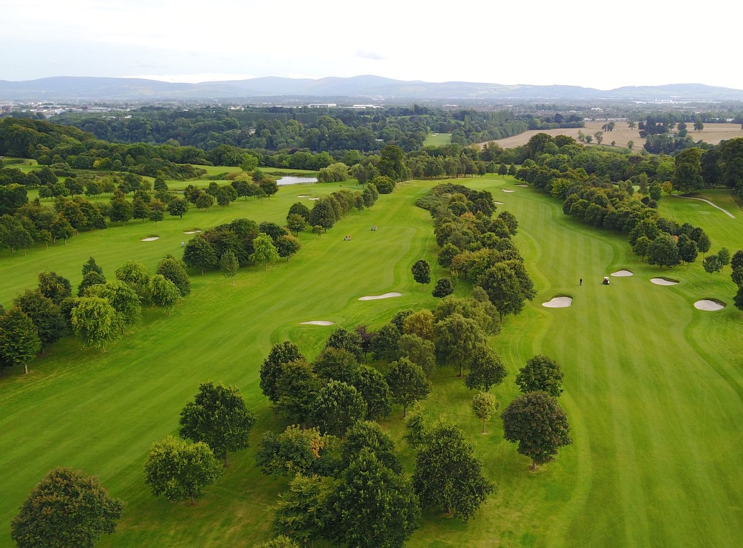Spacious modern living room with dining area, beige and gray tones, large windows, and a colorful rug.