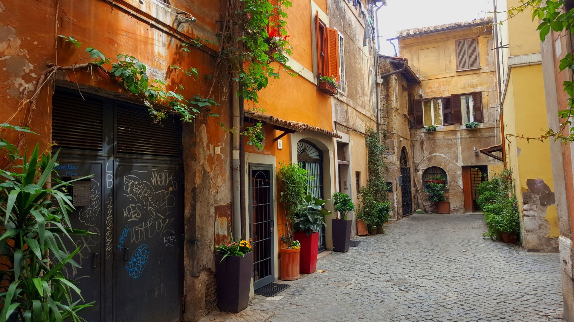 Cobblestone street in old European city, with orange and yellow buildings, potted plants, and vines.