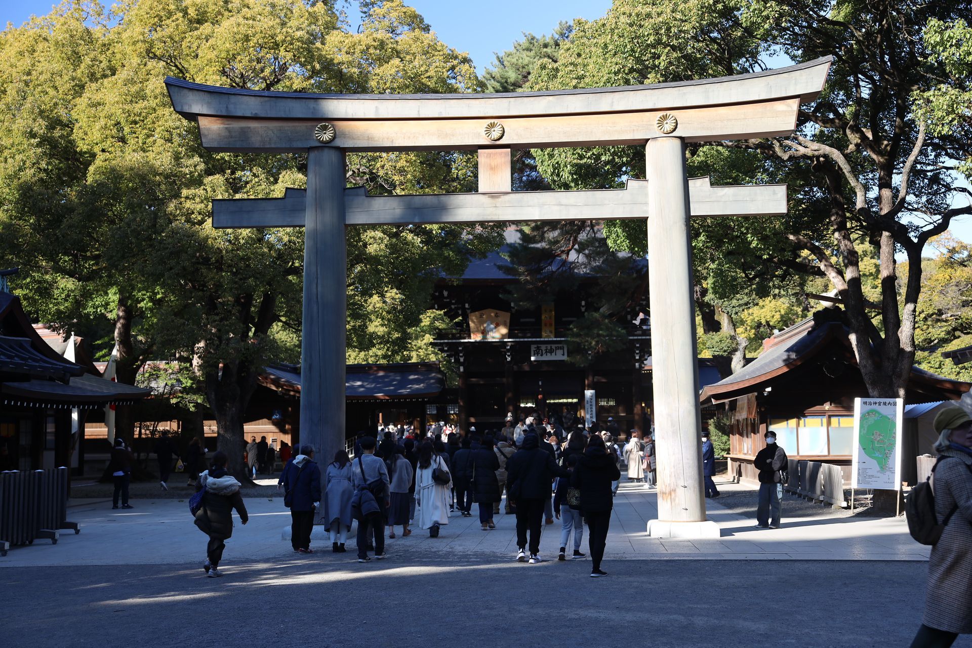 Torii gate entrance at Meiji Shrine in Tokyo surrounded by forested park pathway