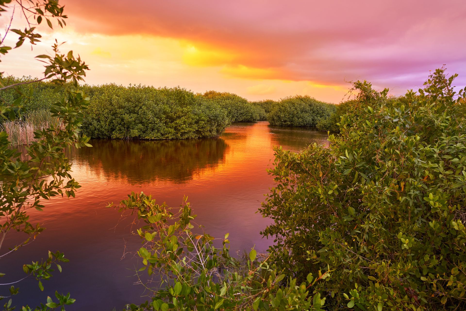 Sunset over mangrove lagoon — eco-tourism and wildlife sanctuary in coastal Mexico.