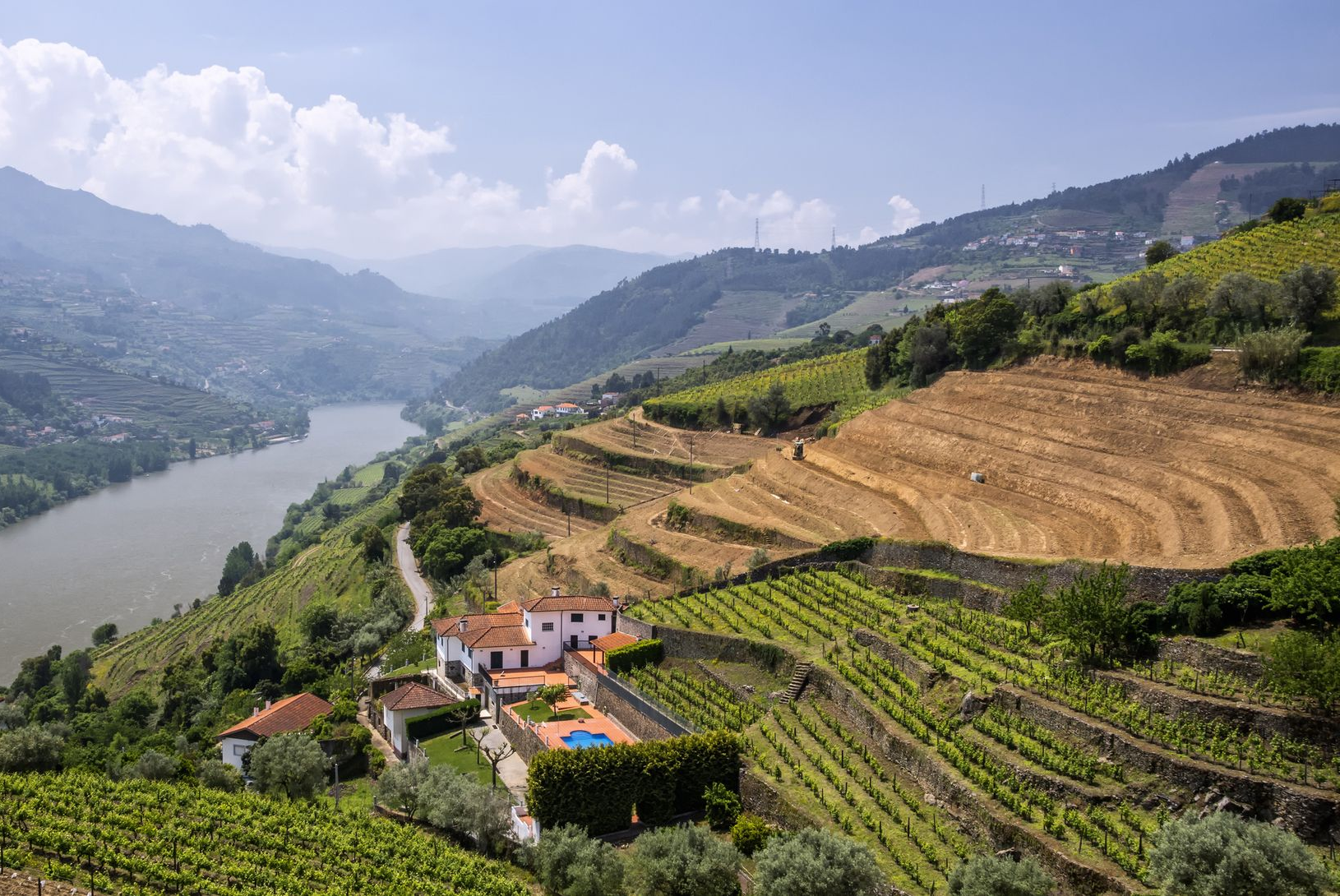 Spacious modern living room with dining area, beige and gray tones, large windows, and a colorful rug.