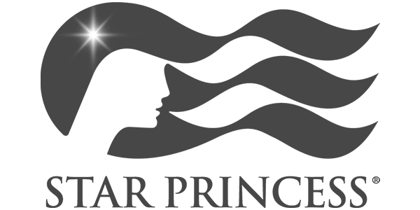 SilverSea logo with abstract wave-like symbol above the word