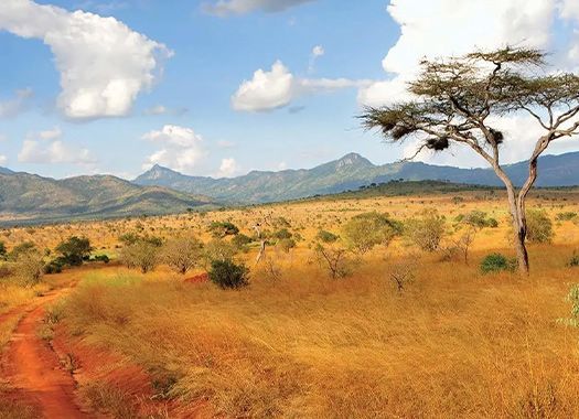 African savanna landscape with dry grasses, distant mountains, and a cloudy sky.
