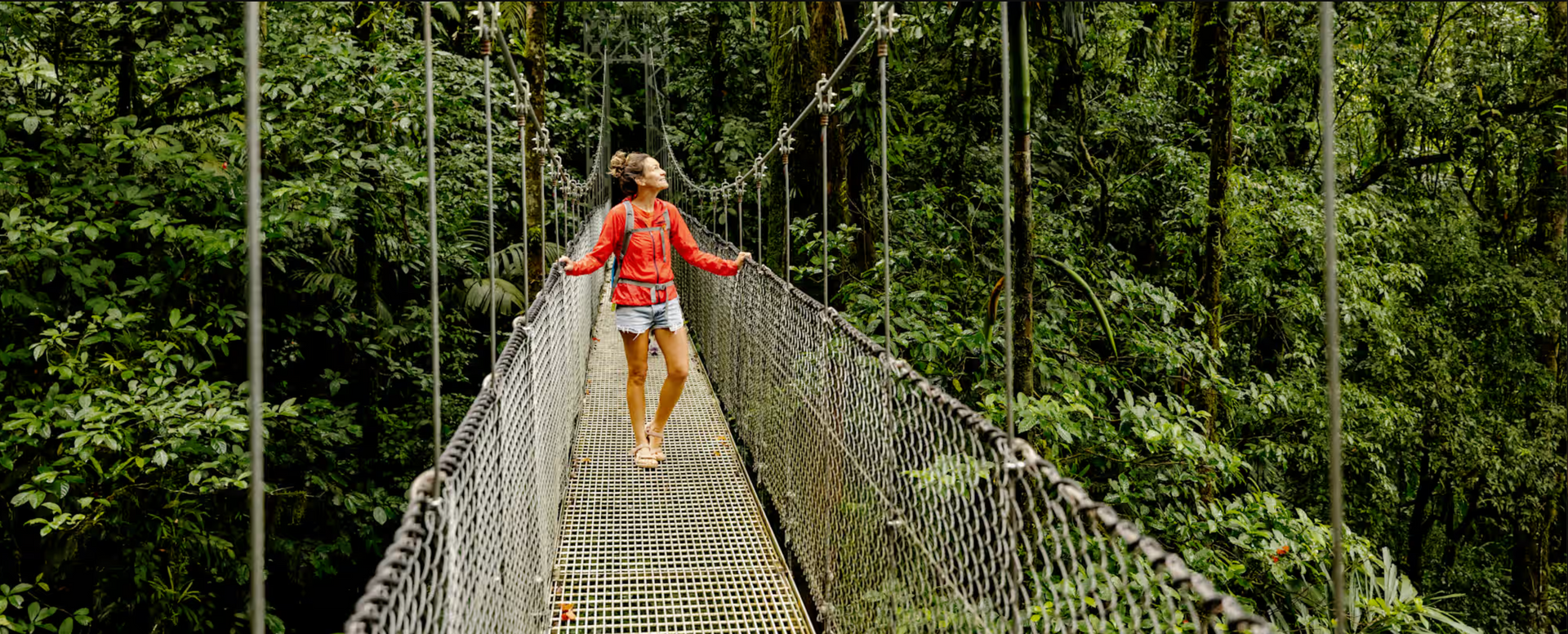 A person in red walks across a rope bridge in a lush forest.