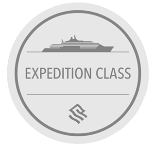 Star Princess logo with silhouette of woman, blue waves, and shining star.