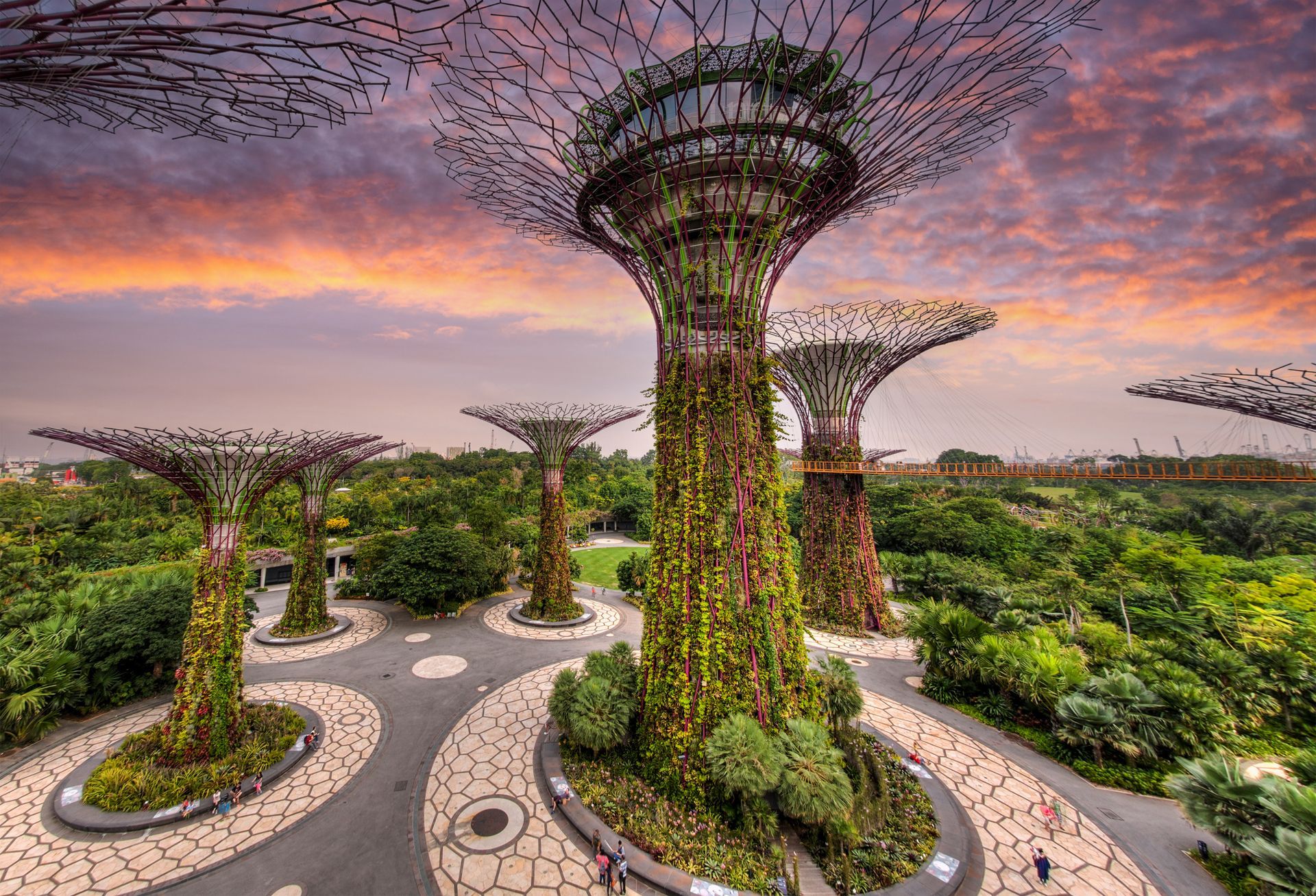 Gardens by the Bay, Singapore: Towering Supertrees against a colorful sunset sky.