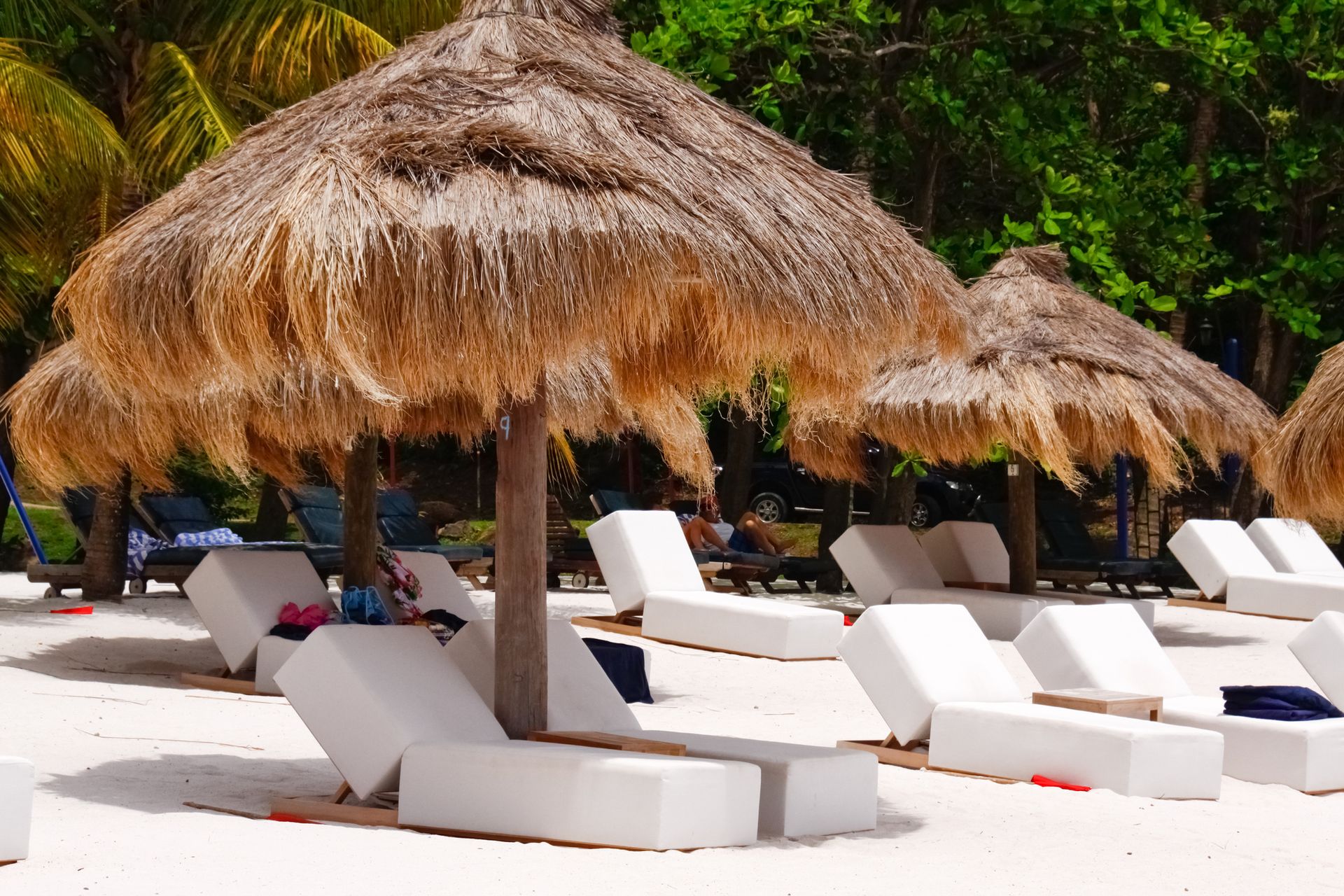 Spacious modern living room with dining area, beige and gray tones, large windows, and a colorful rug.