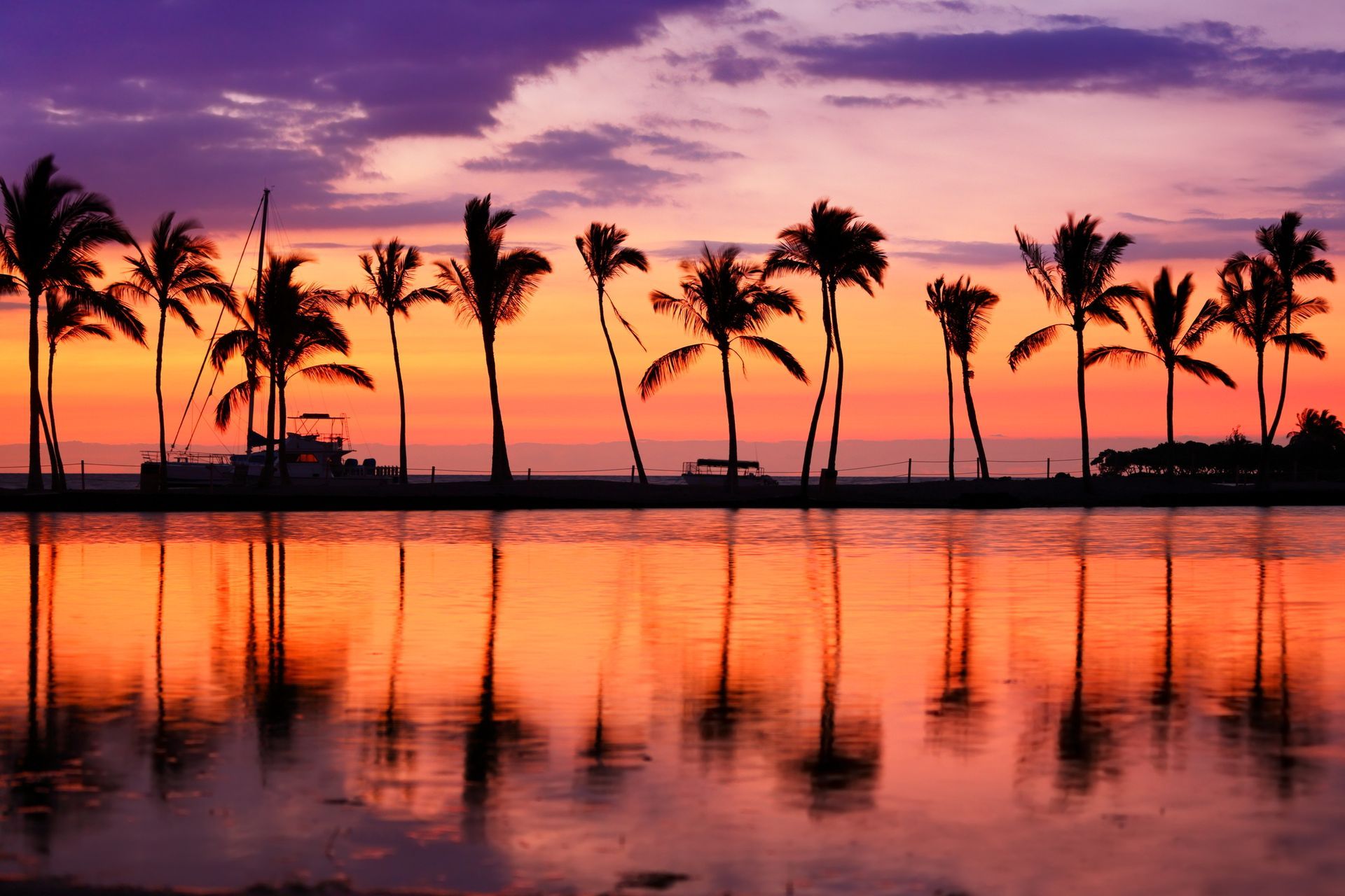 Palm trees silhouetted against a vibrant sunset reflected in calm water.