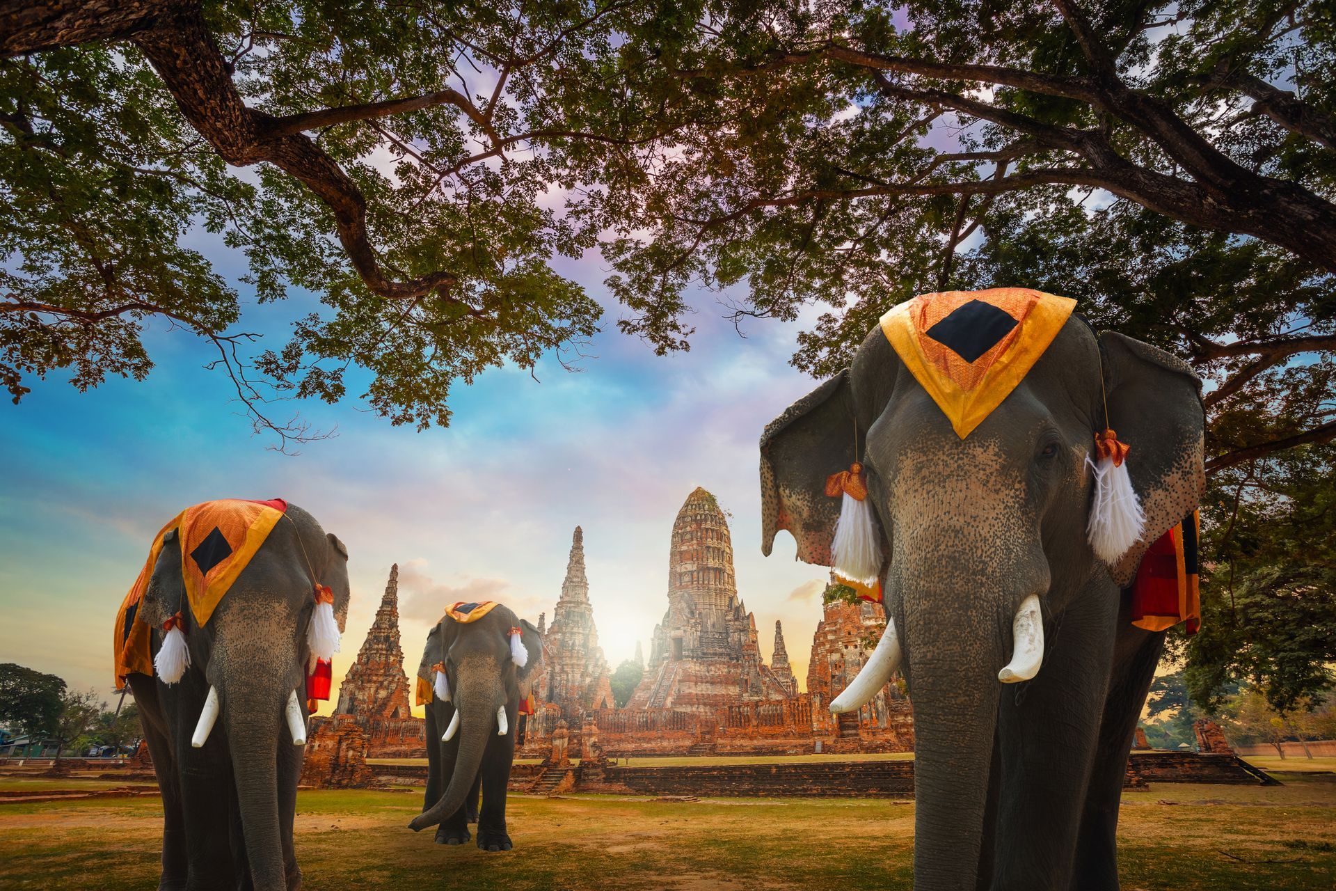 Elephants with colorful headdresses stand before ancient temple ruins in Thailand.