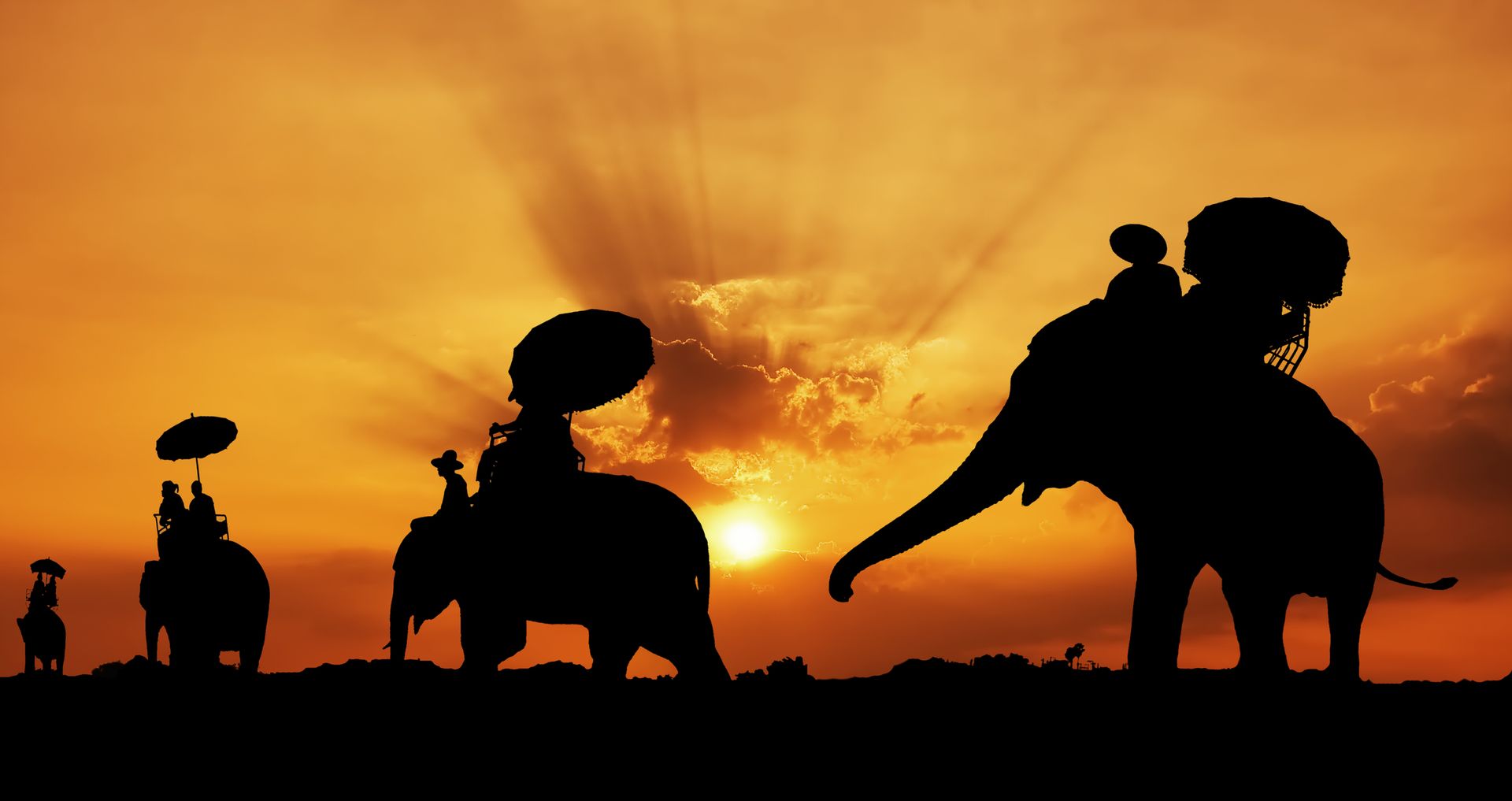 Silhouettes of elephants carrying riders with parasols against an orange sunset.