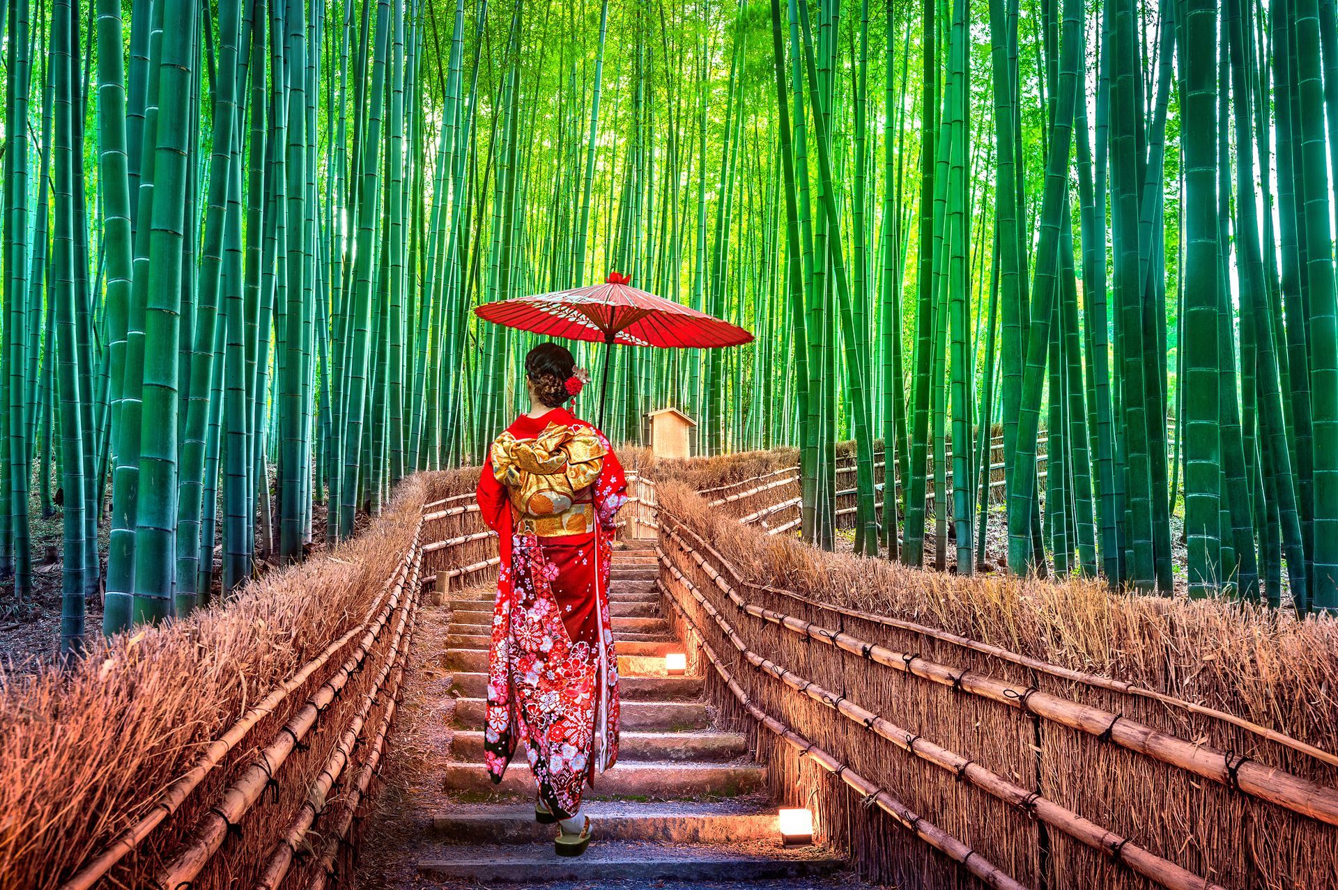 Woman in red kimono walks up steps in a bamboo forest, holding a red parasol.