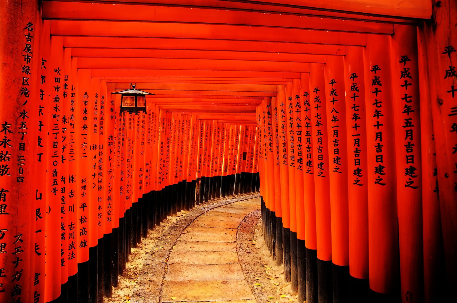 Red torii gates forming a tunnel, path winding through them; Kyoto, Japan.