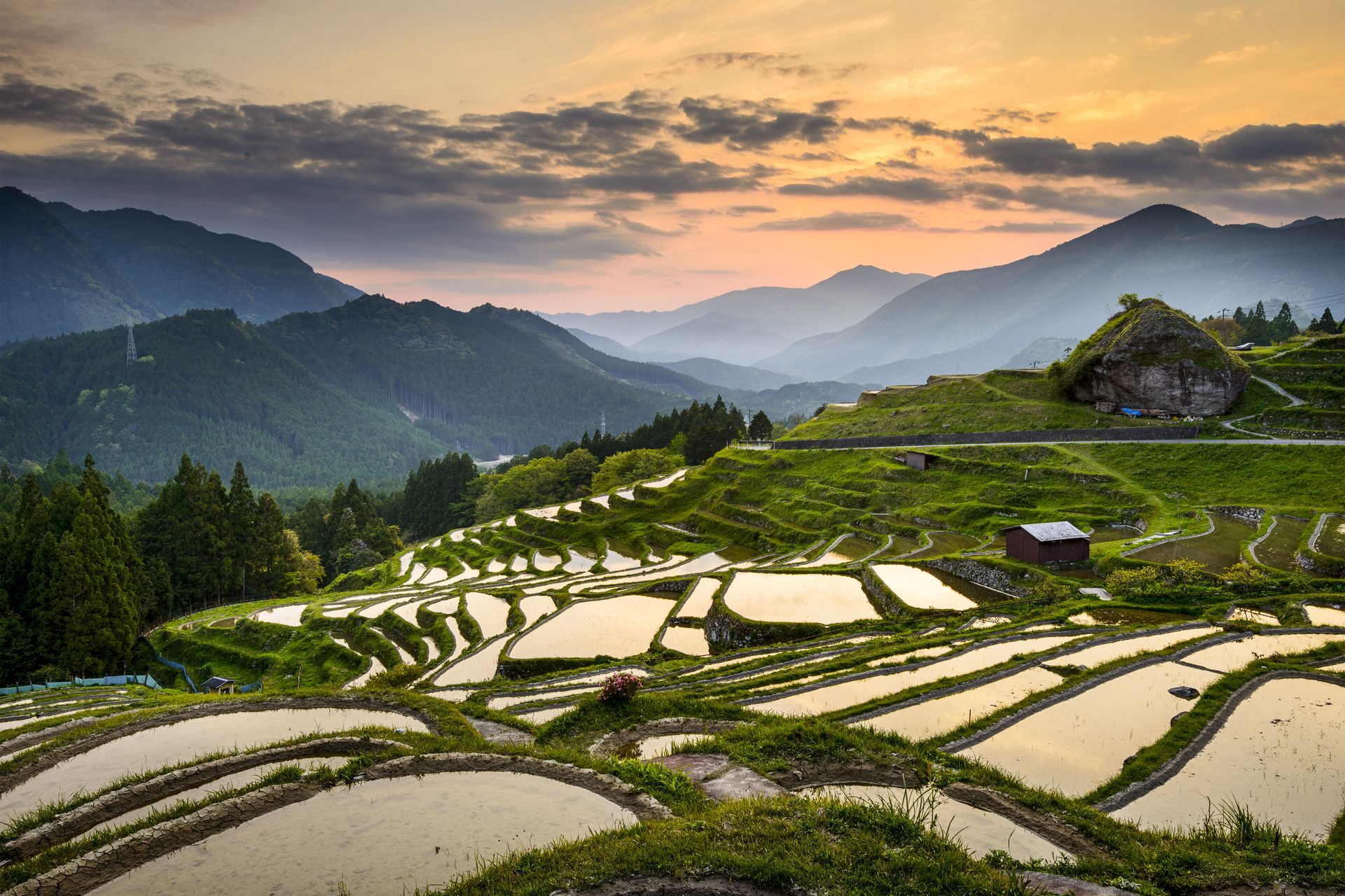 Terraced rice paddies reflect the sunrise in a mountainous landscape with a small wooden structure.