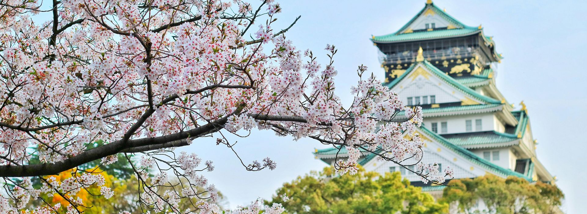 Spacious modern living room with dining area, beige and gray tones, large windows, and a colorful rug.